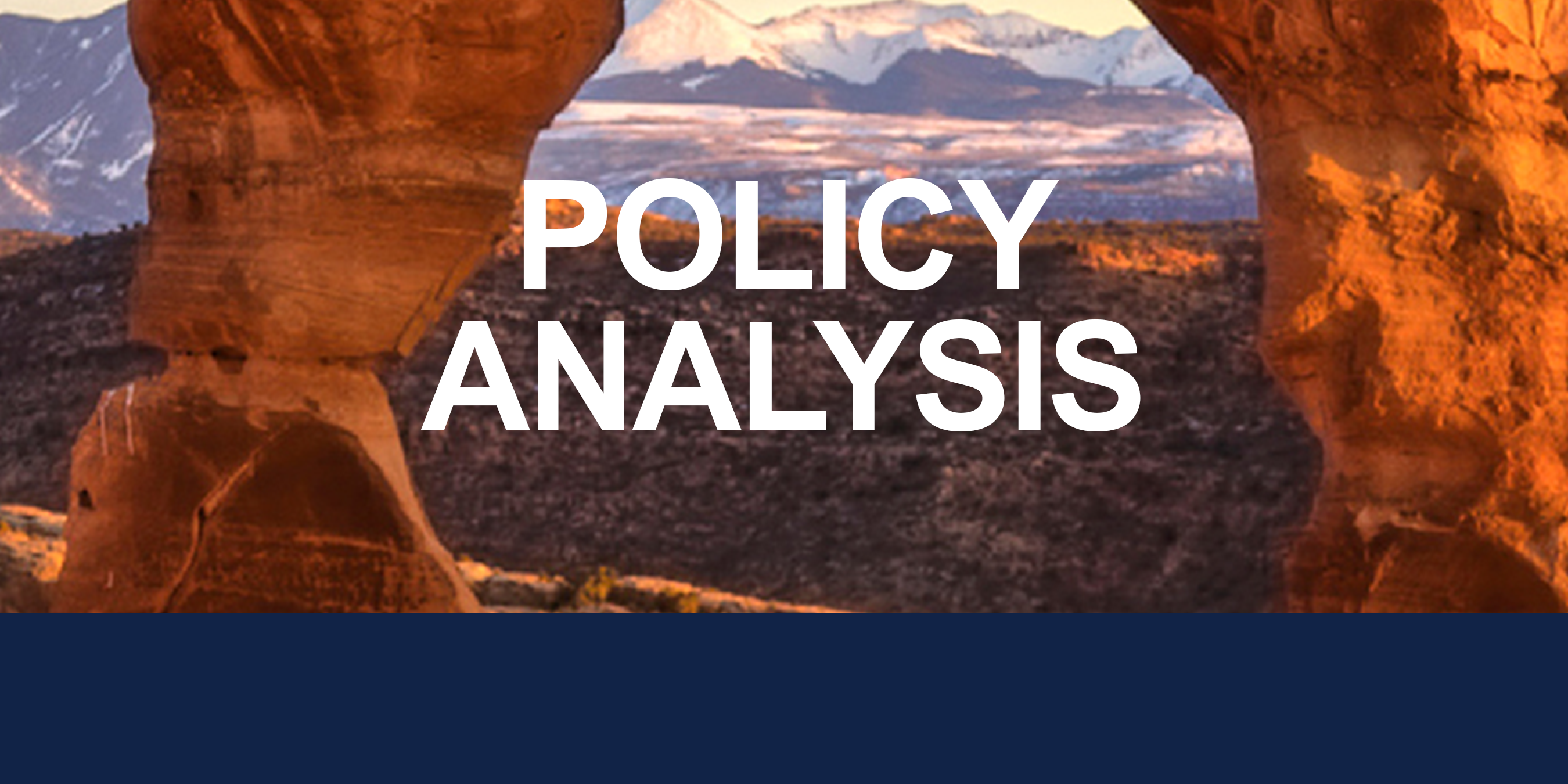 POLICY ANALYSIS