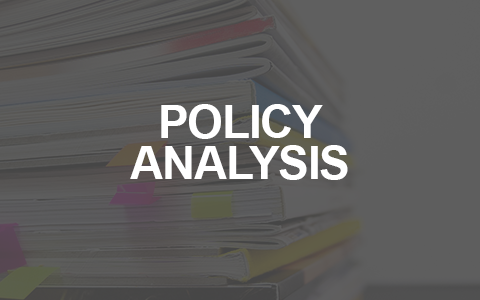 Policy analysis